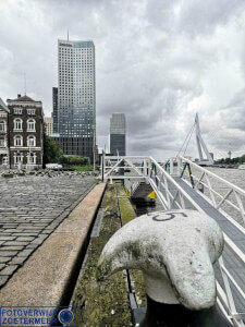Rotterdam op plexiglas Nieuwe Maas met zicht op de Erasmusbrug
